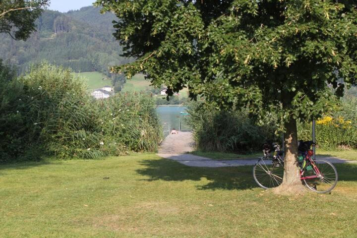 Wunderschoene Ferienwohnung Mit Seeblick Zell am Moos Eksteriør bilde