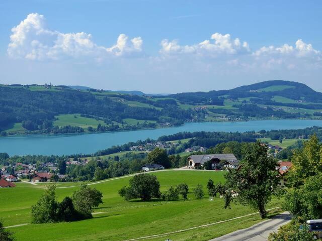 Wunderschoene Ferienwohnung Mit Seeblick Zell am Moos Eksteriør bilde